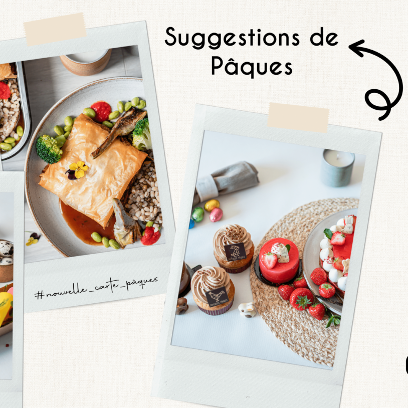 Rencontre entre les lapins de Pâques et les poules COCOTTES !