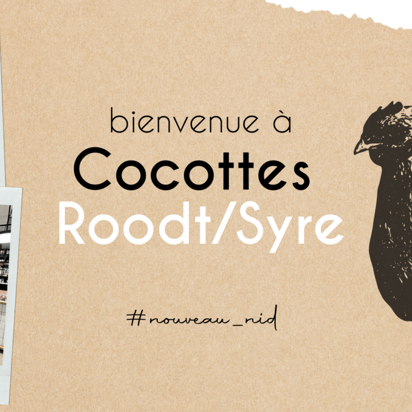 Bienvenue à COCOTTES Roodt/Syre !