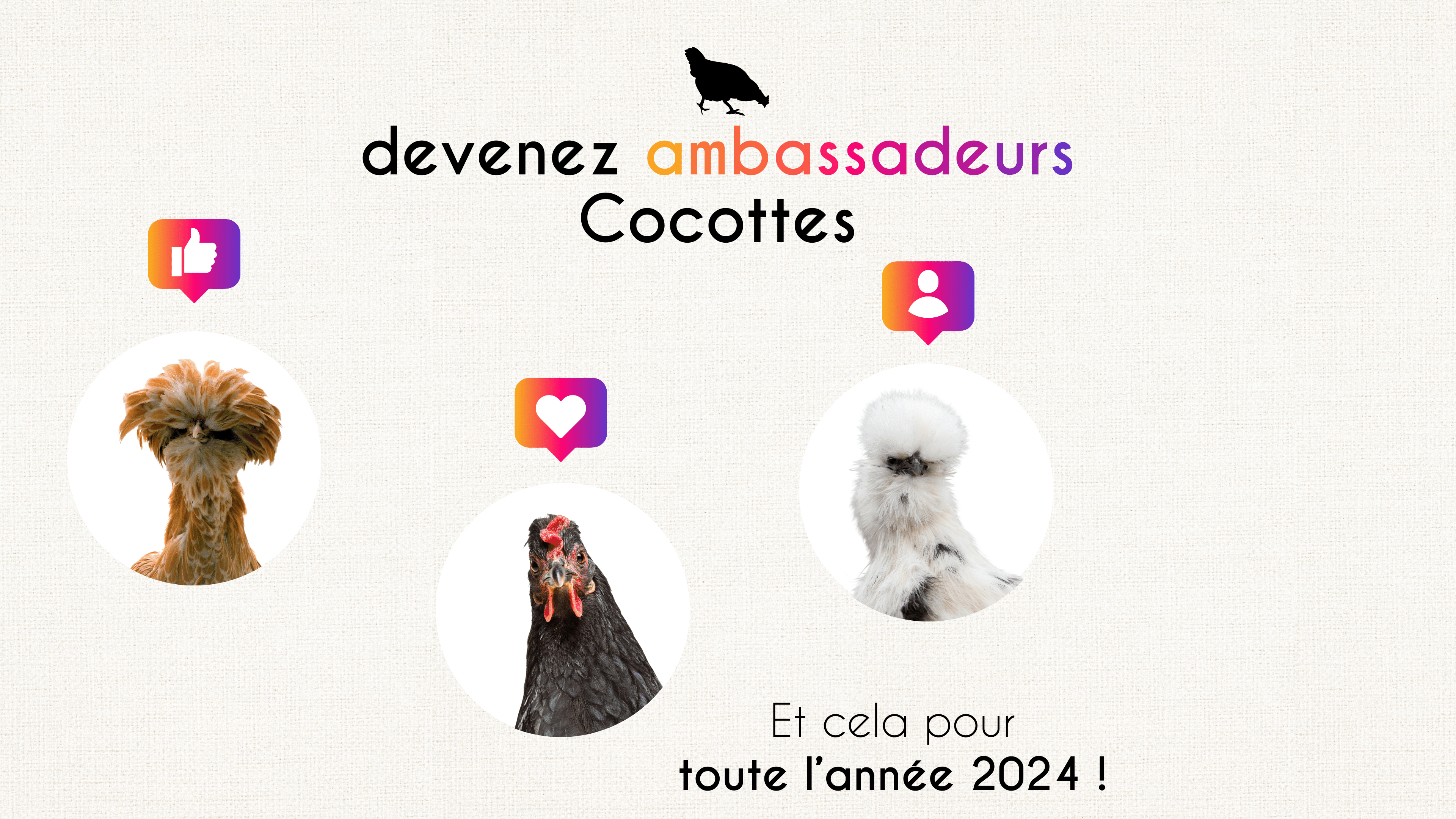 News Ambassadeurs 2024