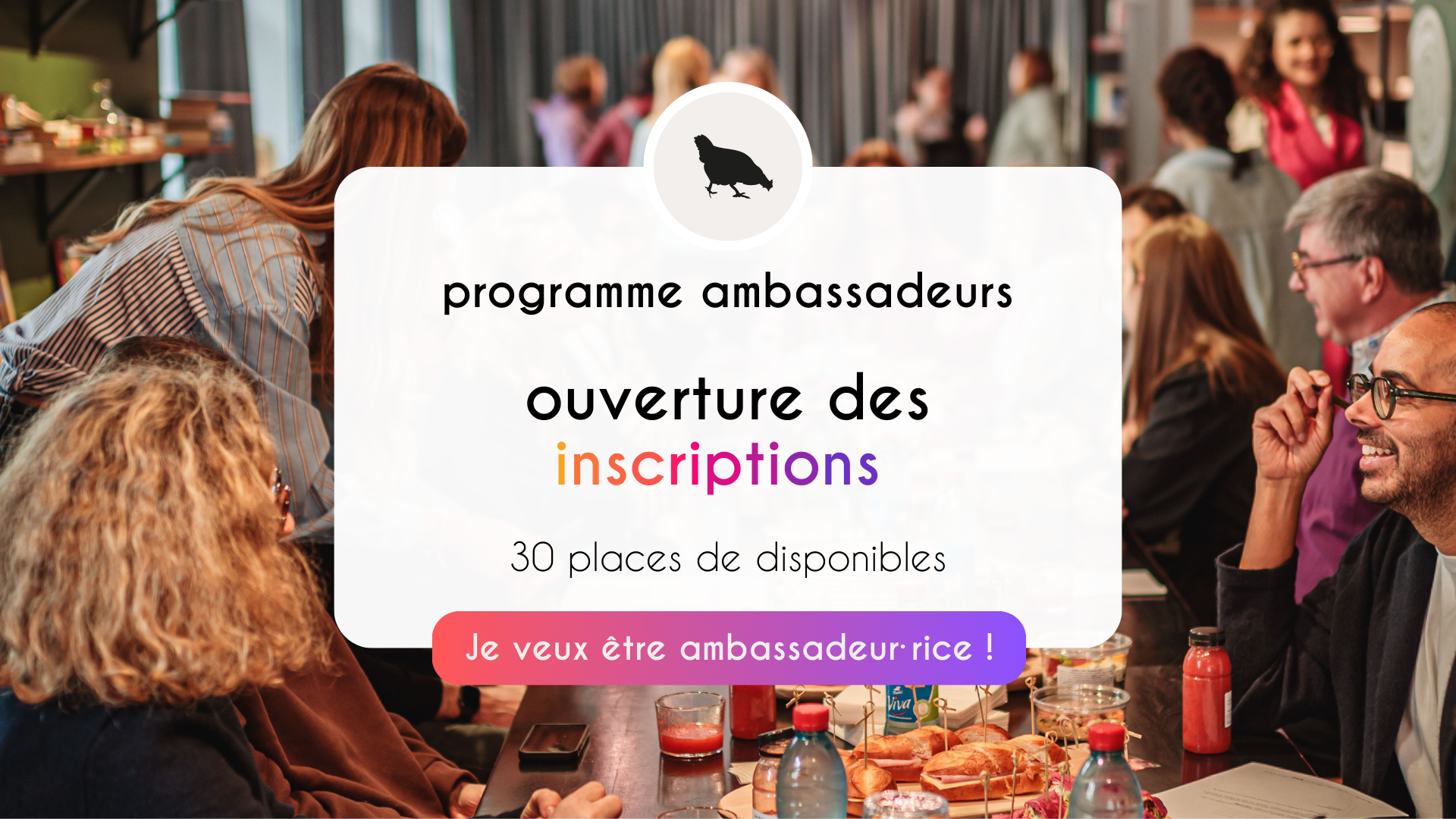News : Programme ambassadeurs 2025